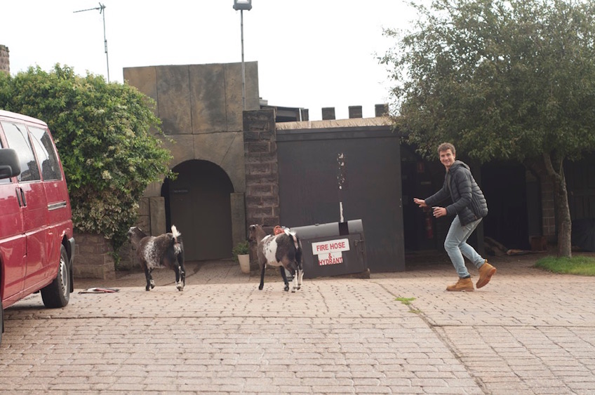 05_goats