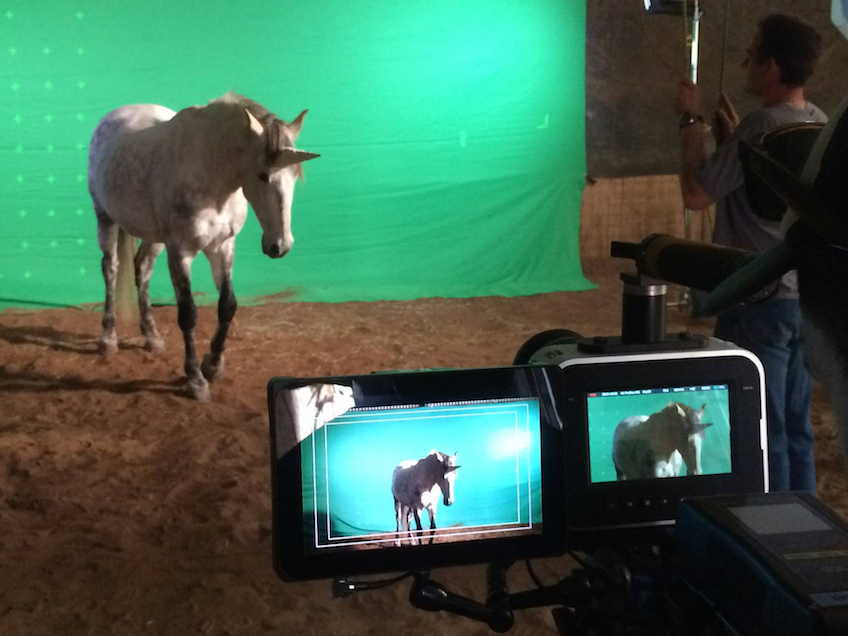 04_horse