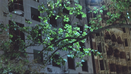 dvtest_aviddv601