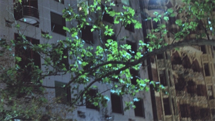 dvtest_dvpal601