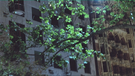 dvtest_qtanimation601