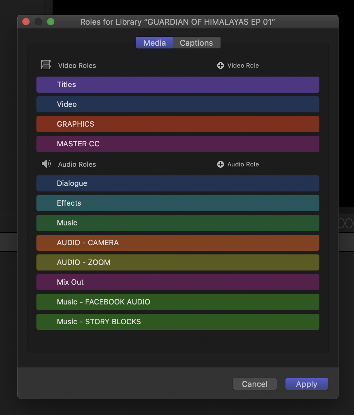 Audio Roles Labelling